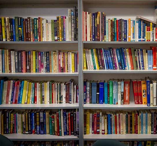 Library at NK Public School, Jaipur — CBSE school facility in Rajawas